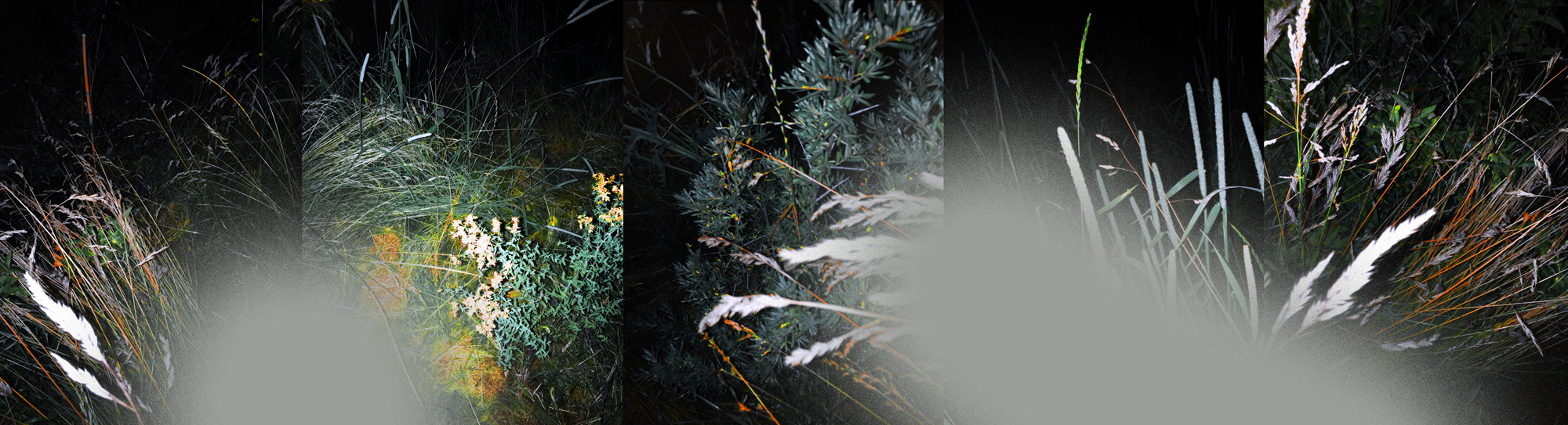 Gen Atem Project - The Nature of Things - Digital painting on photography, 2025